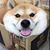 Zeke Hüber's profile image