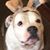 Rudy Miles's profile image
