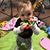 Stephanie Dann McGarrity's profile image