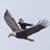 Shaun Russell's profile image