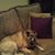 Maryellen Willette-Groover's profile image
