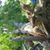 Florencia P. Martinez's profile image