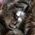 Paula Rose Proctor's profile image