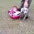 Sharon Brown's profile image