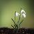 Yvonne Paccione Brunner's profile image