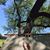 Candy Arentz's profile image