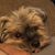 Bonnie Kay's profile image