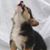 Judy Smith's profile image