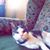 Polar Cat's profile image