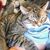 Deborah Piens's profile image