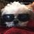 Diana McDonald's profile image