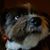 Kathy Thompson's profile image