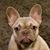 Lynette Green's profile image
