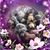 Angie Dane Giants's profile image