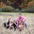 Tina Remsnyder's profile image