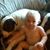 Tammy Dorr Swensen's profile image