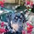 Carol Savo's profile image