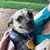 Jason Tighe's profile image