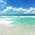 Kathy Mayhew Davis's profile image