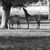 Jenny Morris's profile image
