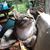 Linda Lineberry Zane's profile image
