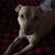 Mark Brown's profile image