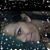 JoAnn Tamayo's profile image
