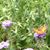 Tamlyn Overmier's profile image