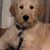 Karen Wonkka-Page's profile image