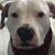 Patti Garnet's profile image