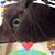 Olga Ivette Jordan Lee's profile image