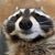 Nicholas Schwartz's profile image