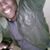Richard W. Masters's profile image