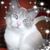 Kathleen A Walbert's profile image