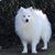 Marcy Davis's profile image