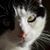 Debbie Schaffer's profile image