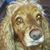 Wayne Willis's profile image