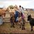 Kristi Kniepkamp Chase's profile image