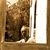 Vaidila Satvika's profile image