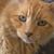 Debra Wilson's profile image