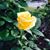 Carmen Eguizabal Marin's profile image