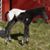 Chuck Fuller's profile image