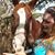 Beth Tall Patterson's profile image