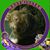Sherri Horstman's profile image