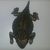 Connie Ogle's profile image