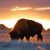 Nancy Boyer's profile image