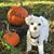 Debra Halliday's profile image