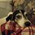 Donna Ruggles's profile image