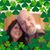 Dawn Marie Schneible's profile image