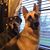 Hazel Marie WIsener's profile image